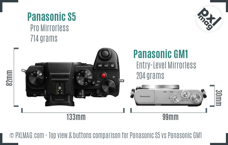 Panasonic S5 vs Panasonic GM1 top view buttons comparison