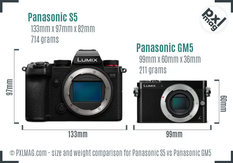 Panasonic S5 vs Panasonic GM5 size comparison