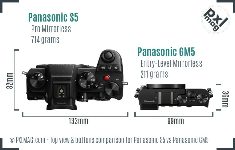 Panasonic S5 vs Panasonic GM5 top view buttons comparison