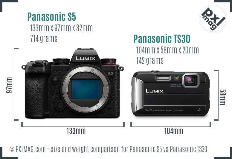 Panasonic S5 vs Panasonic TS30 size comparison Panasonic S5 vs Panasonic TS30 size comparison