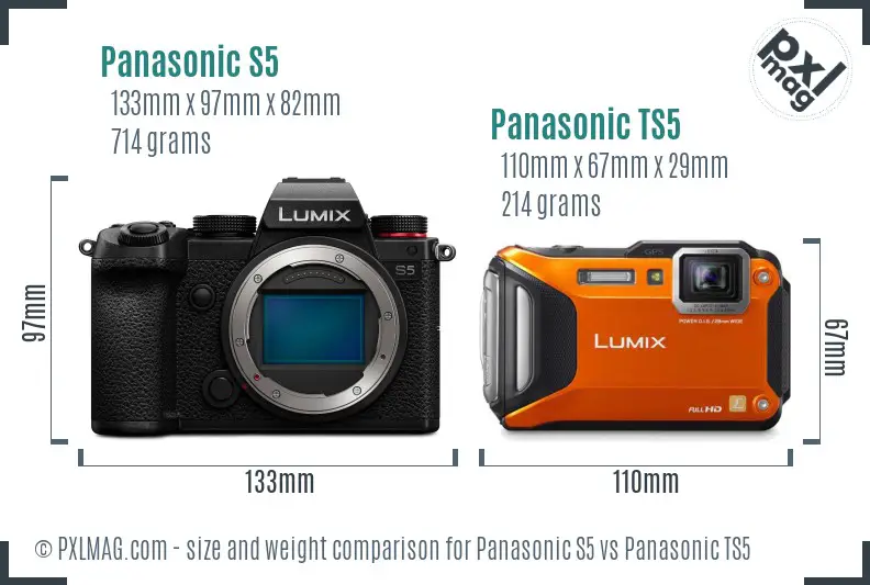 Panasonic S5 vs Panasonic TS5 size comparison