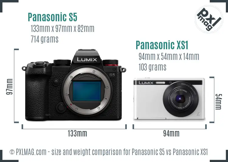 Panasonic S5 vs Panasonic XS1 size comparison