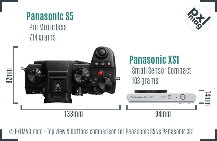 Panasonic S5 vs Panasonic XS1 top view buttons comparison