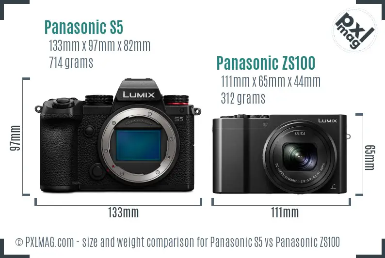 Panasonic S5 vs Panasonic ZS100 size comparison