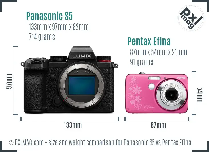 Panasonic S5 vs Pentax Efina size comparison