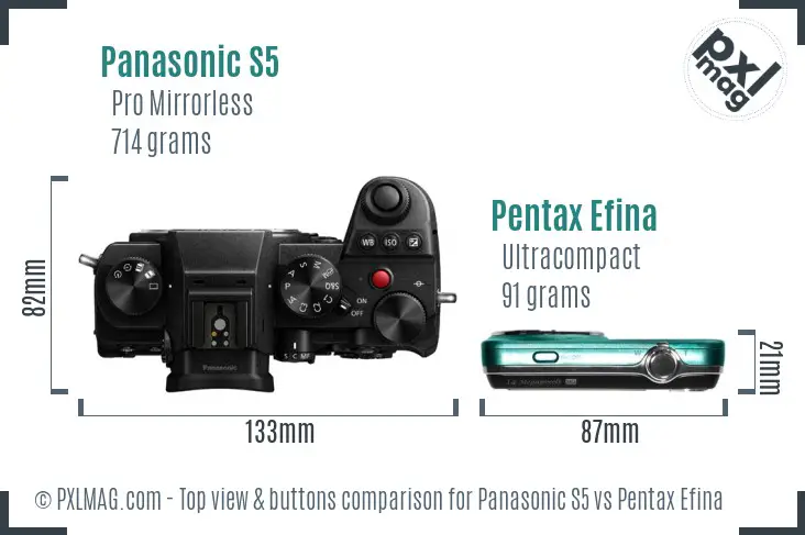 Panasonic S5 vs Pentax Efina top view buttons comparison
