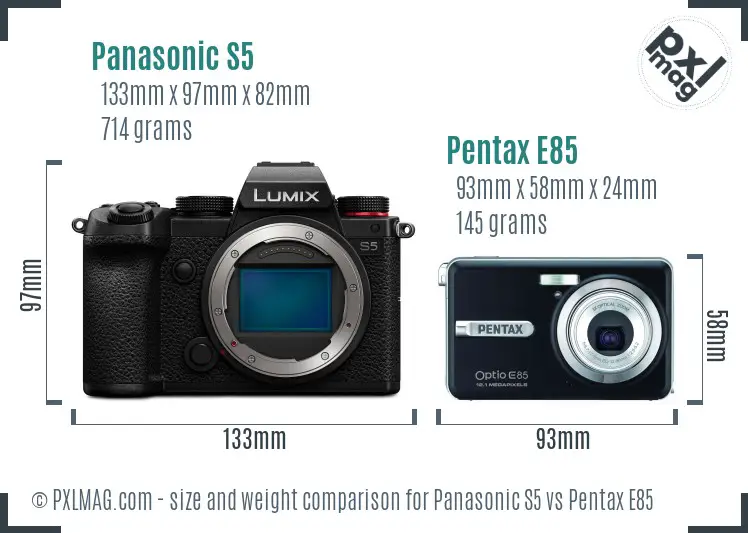 Panasonic S5 vs Pentax E85 size comparison