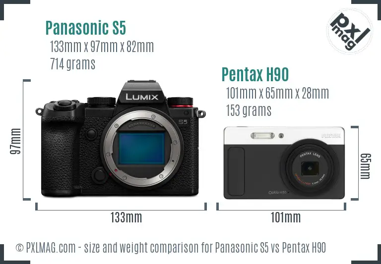 Panasonic S5 vs Pentax H90 size comparison
