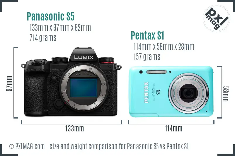 Panasonic S5 vs Pentax S1 size comparison