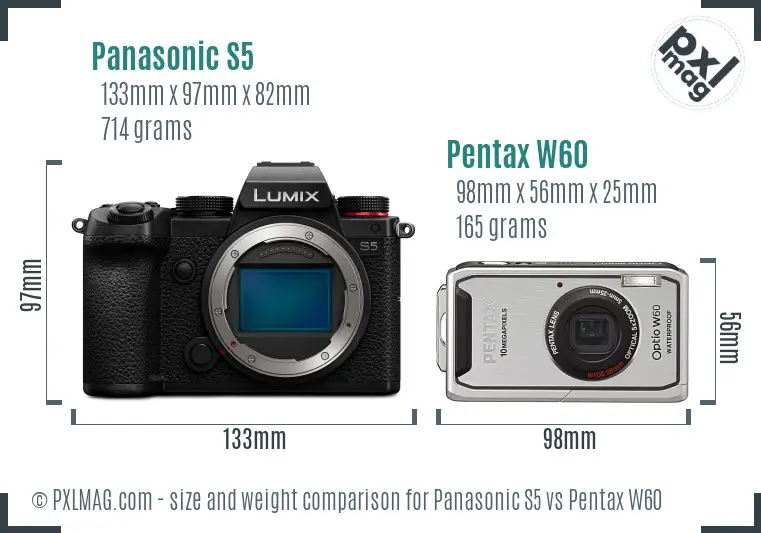 Panasonic S5 vs Pentax W60 size comparison
