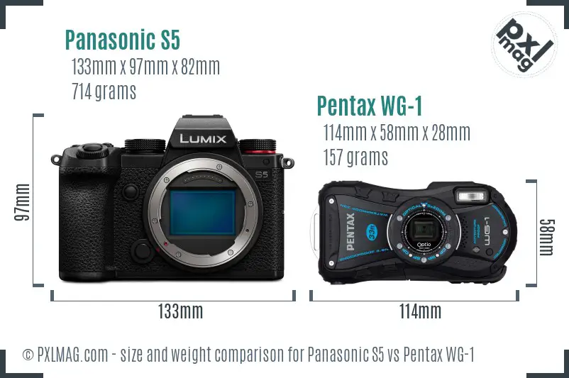 Panasonic S5 vs Pentax WG-1 size comparison