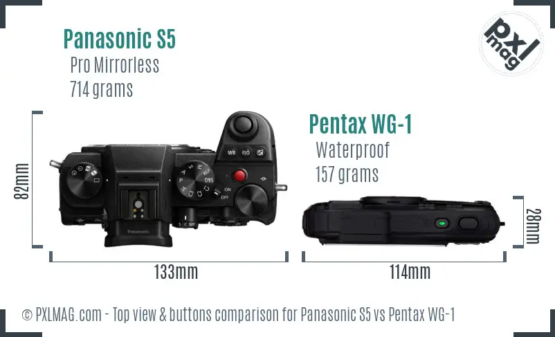 Panasonic S5 vs Pentax WG-1 top view buttons comparison