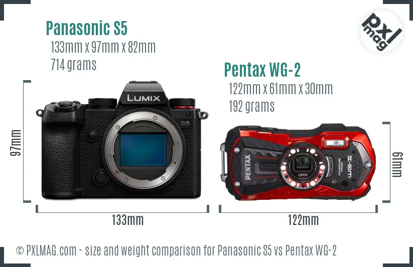Panasonic S5 vs Pentax WG-2 size comparison