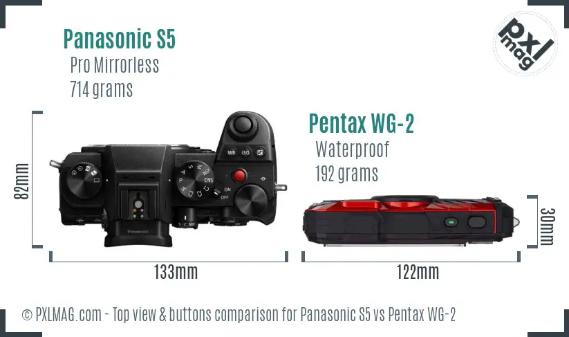 Panasonic S5 vs Pentax WG-2 top view buttons comparison