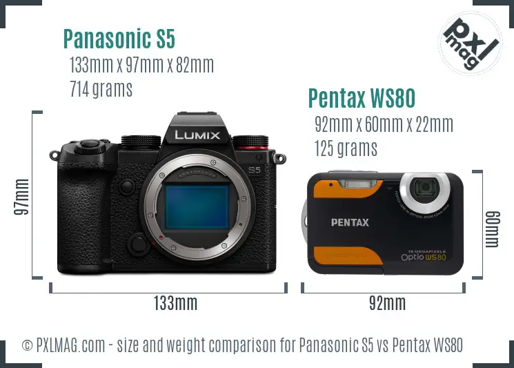 Panasonic S5 vs Pentax WS80 size comparison