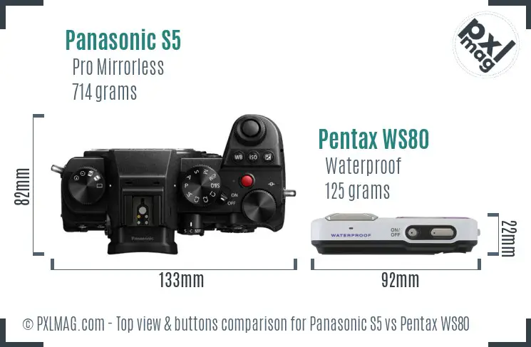 Panasonic S5 vs Pentax WS80 top view buttons comparison