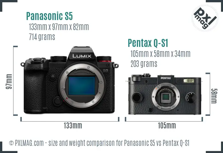 Panasonic S5 vs Pentax Q-S1 size comparison