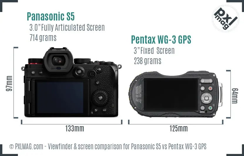 Panasonic S5 vs Pentax WG-3 GPS Screen and Viewfinder comparison