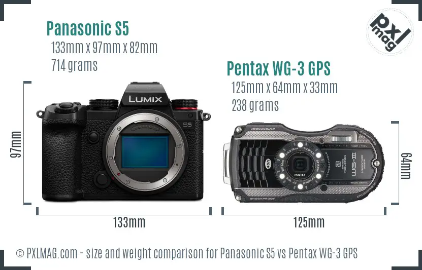 Panasonic S5 vs Pentax WG-3 GPS size comparison Panasonic S5 vs Pentax WG-3 GPS size comparison