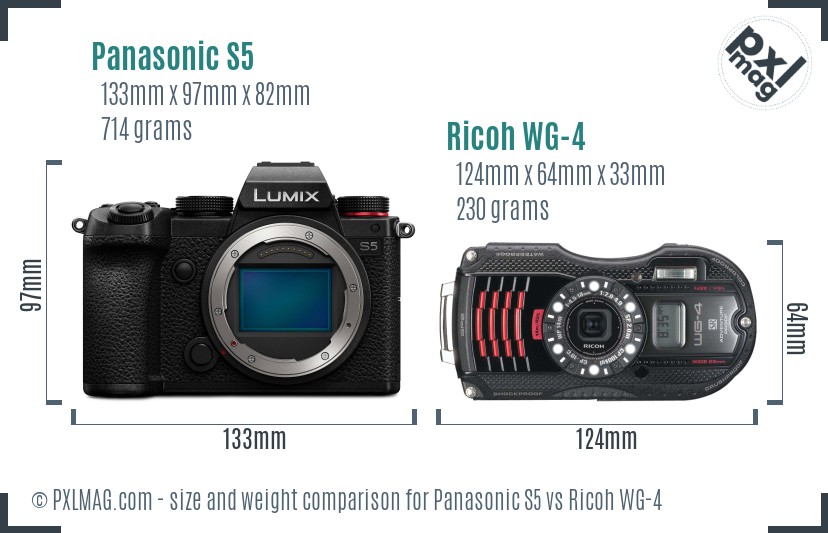 Panasonic S5 vs Ricoh WG-4 size comparison