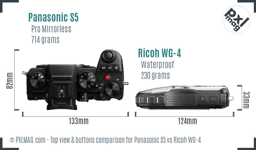 Panasonic S5 vs Ricoh WG-4 top view buttons comparison