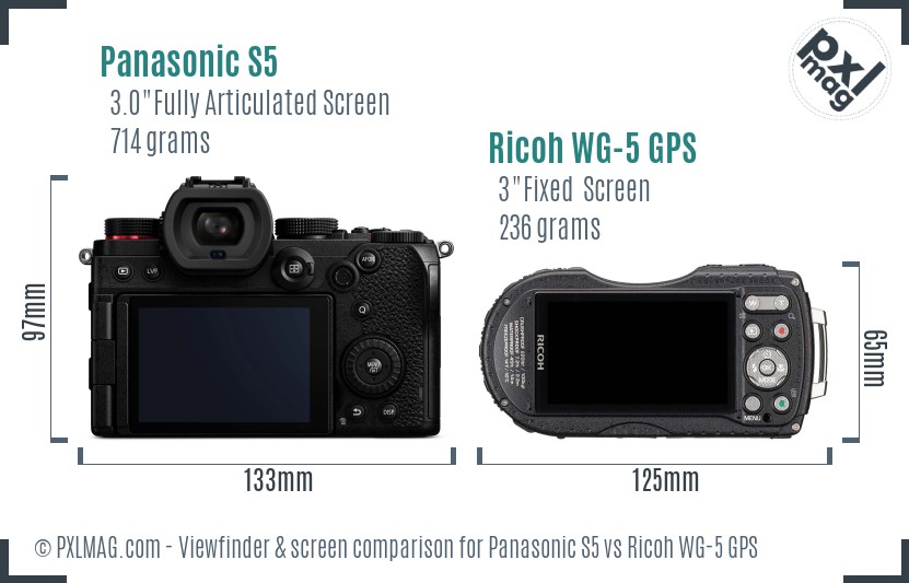 Panasonic S5 vs Ricoh WG-5 GPS Screen and Viewfinder comparison