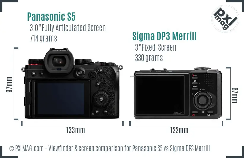 Panasonic S5 vs Sigma DP3 Merrill Screen and Viewfinder comparison Panasonic S5 vs Sigma DP3 Merrill Screen and Viewfinder comparison