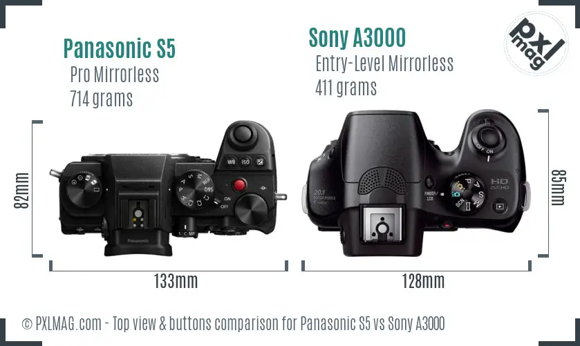 Panasonic S5 vs Sony A3000 top view buttons comparison