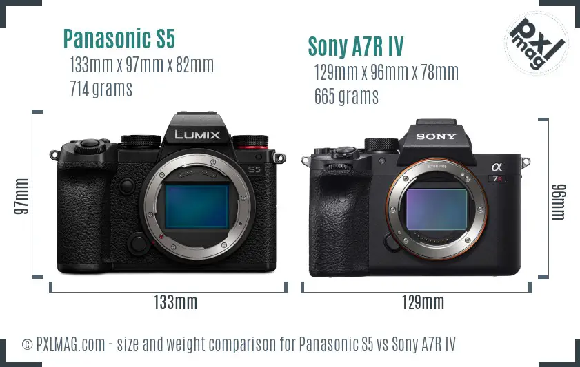 Panasonic S5 vs Sony A7R IV size comparison