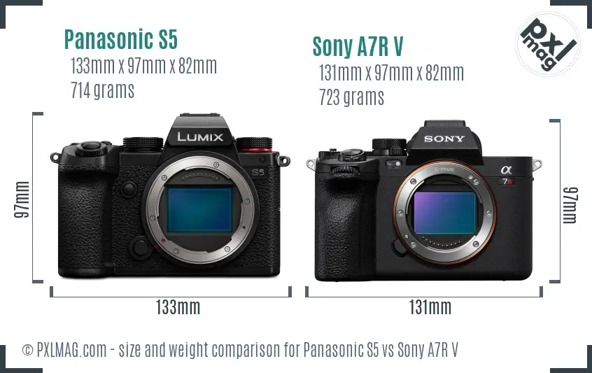 Panasonic S5 vs Sony A7R V size comparison