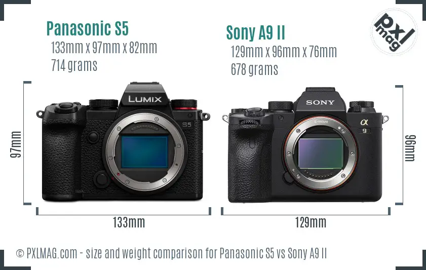 Panasonic S5 vs Sony A9 II size comparison