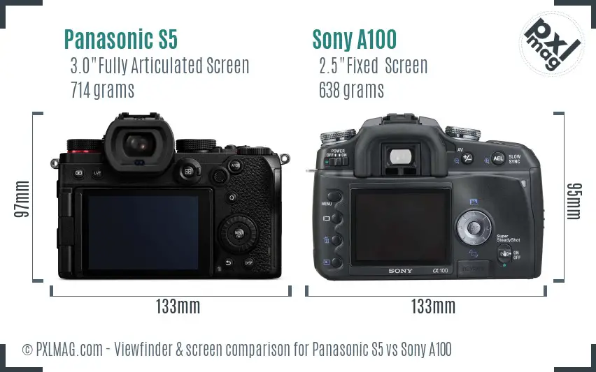 Panasonic S5 vs Sony A100 Screen and Viewfinder comparison