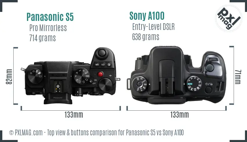 Panasonic S5 vs Sony A100 top view buttons comparison