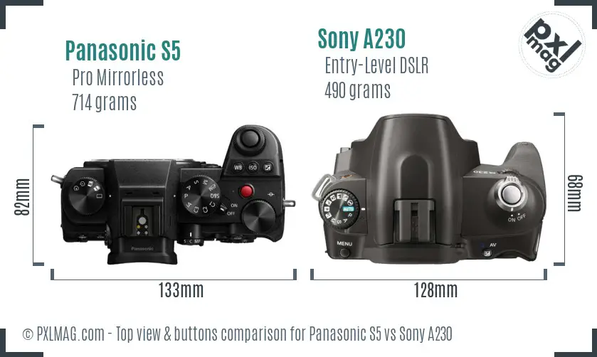 Panasonic S5 vs Sony A230 top view buttons comparison