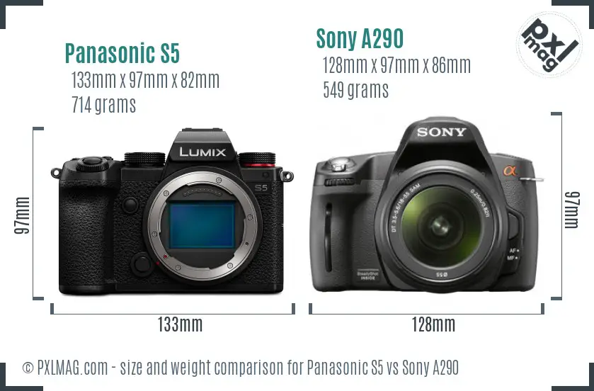 Panasonic S5 vs Sony A290 size comparison