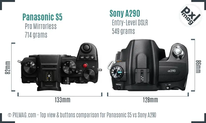 Panasonic S5 vs Sony A290 top view buttons comparison