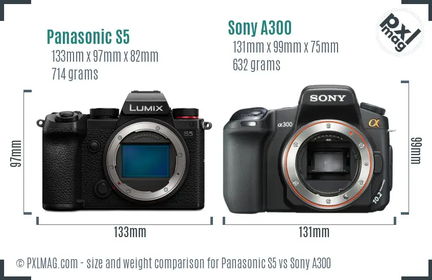 Panasonic S5 vs Sony A300 size comparison