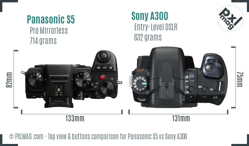 Panasonic S5 vs Sony A300 top view buttons comparison