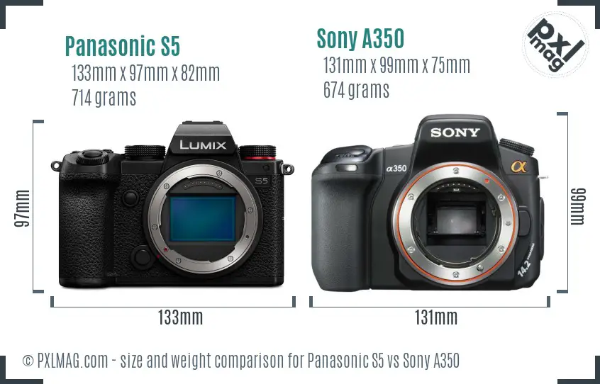 Panasonic S5 vs Sony A350 size comparison