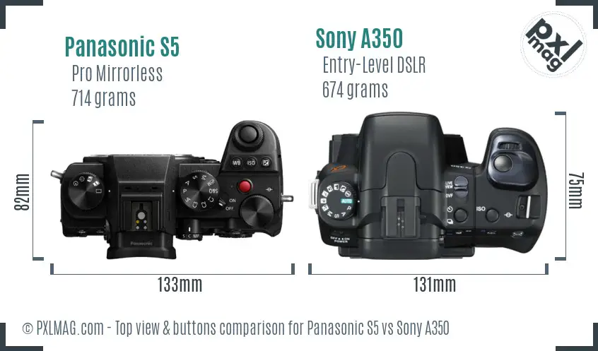 Panasonic S5 vs Sony A350 top view buttons comparison