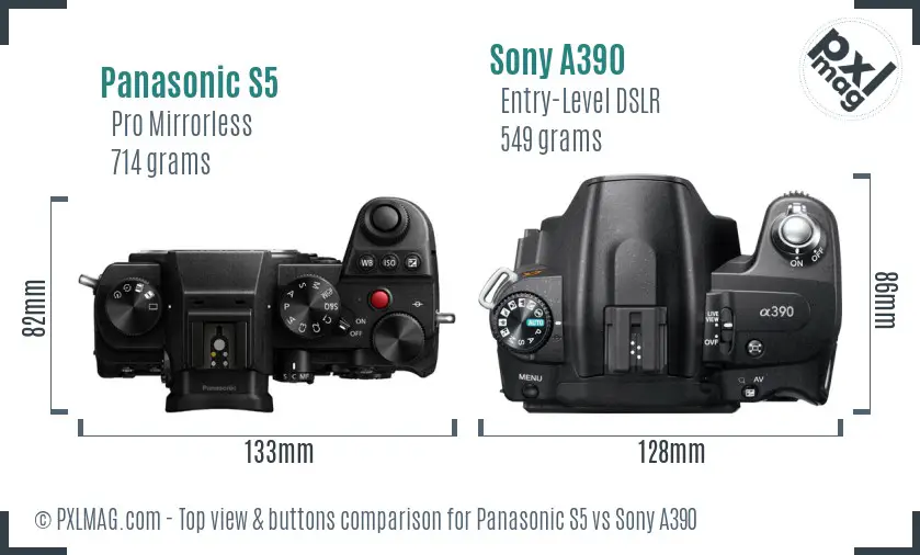 Panasonic S5 vs Sony A390 top view buttons comparison