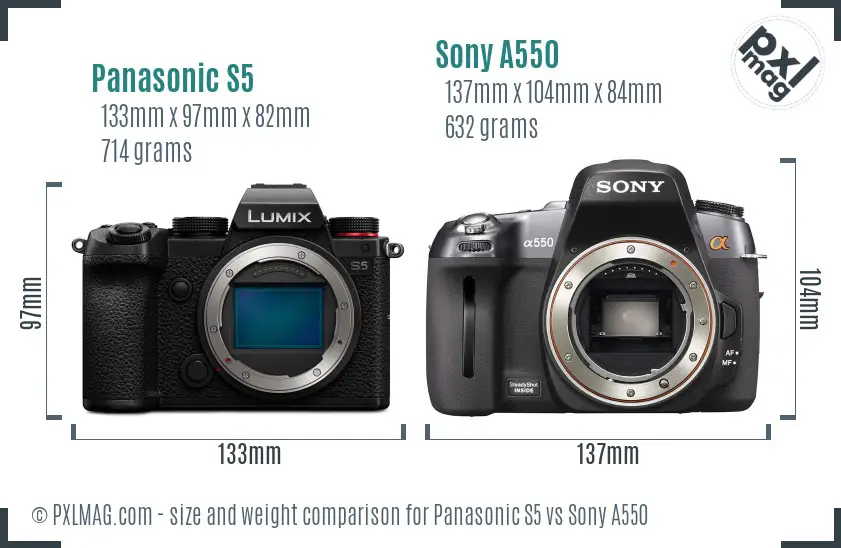 Panasonic S5 vs Sony A550 size comparison