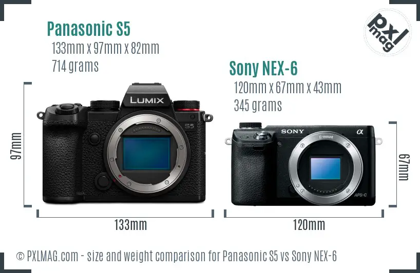 Panasonic S5 vs Sony NEX-6 size comparison