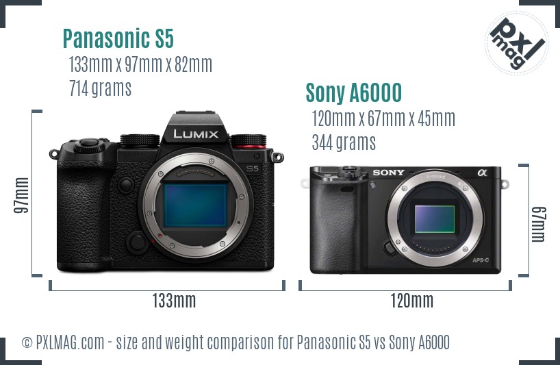 Panasonic S5 vs Sony A6000 size comparison
