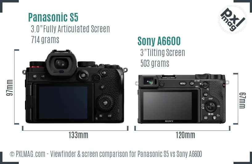 Panasonic S5 vs Sony A6600 Screen and Viewfinder comparison