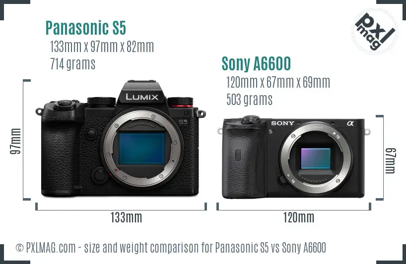 Panasonic S5 vs Sony A6600 size comparison