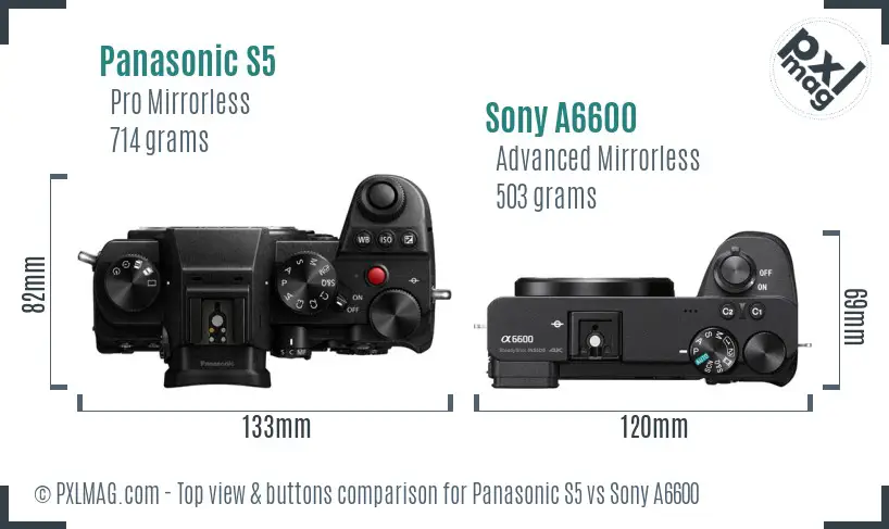 Panasonic S5 vs Sony A6600 top view buttons comparison