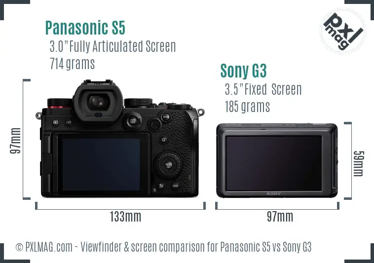 Panasonic S5 vs Sony G3 Screen and Viewfinder comparison