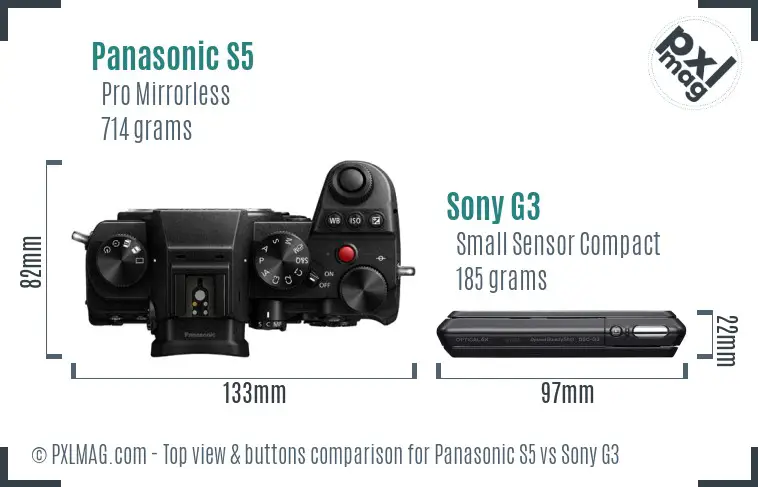 Panasonic S5 vs Sony G3 top view buttons comparison