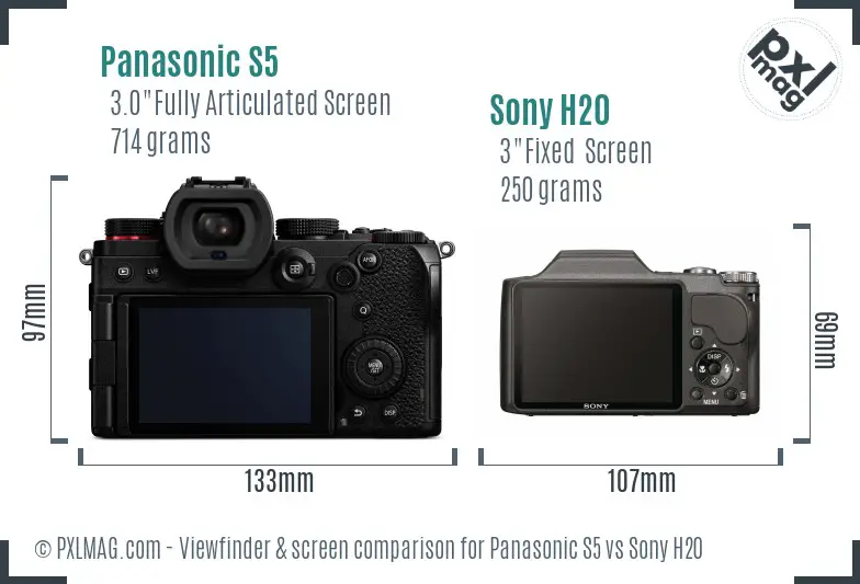 Panasonic S5 vs Sony H20 Screen and Viewfinder comparison